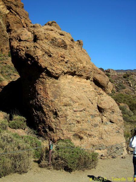 Découverte de Tenerife (10).JPG